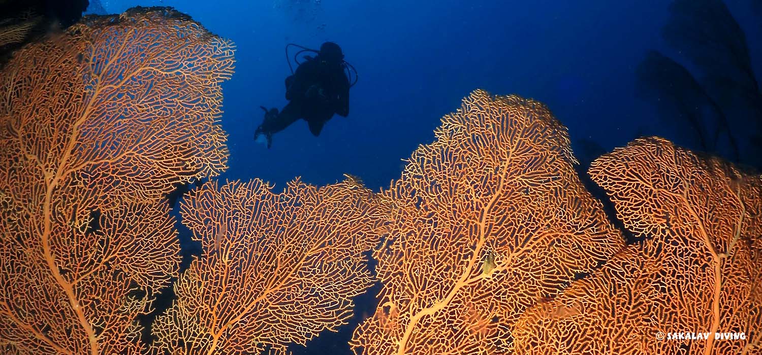 diving courses for the different diving levels in Nosy Be Madagascar